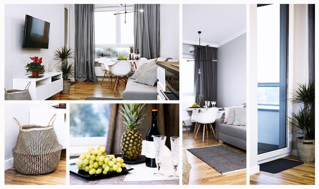 Apartamenty Grazyna Slodowiec Varşova Dış mekan fotoğraf